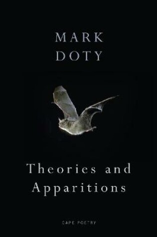 Cover of Theories and Apparitions