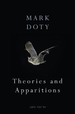 Book cover for Theories and Apparitions