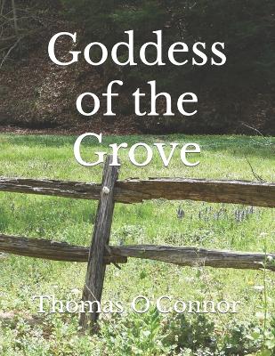 Book cover for Goddess of the Grove