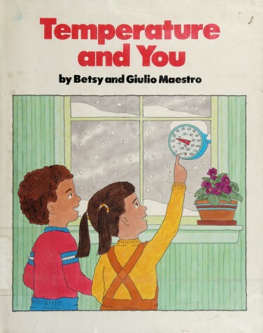 Book cover for Maestro B. & G. : Temperature and You (Hbk)