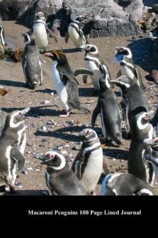 Cover of Macaroni Penguins 100 Page Lined Journal