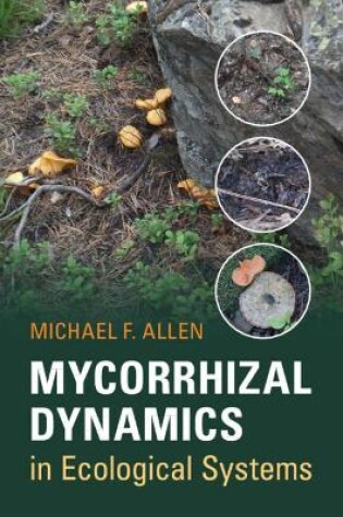 Cover of Mycorrhizal Dynamics in Ecological Systems