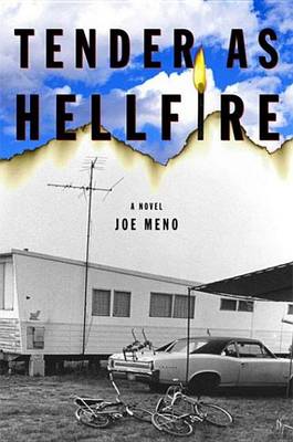 Book cover for Tender as Hellfire