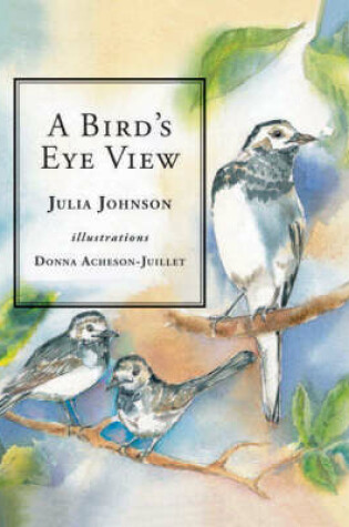 Cover of A Bird's Eye View