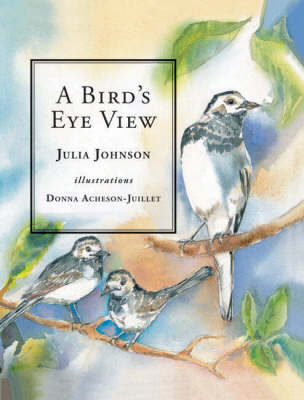 Book cover for A Bird's Eye View