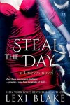 Book cover for Steal the Day