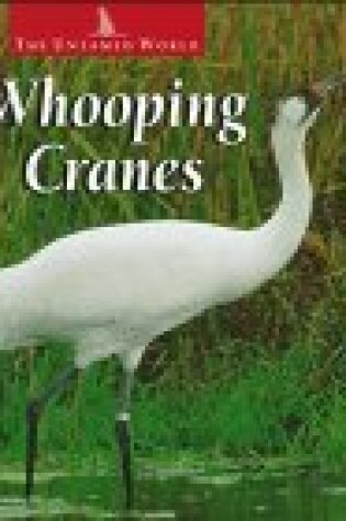 Cover of Whooping Cranes