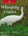 Book cover for Whooping Cranes