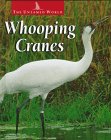 Cover of Whooping Cranes