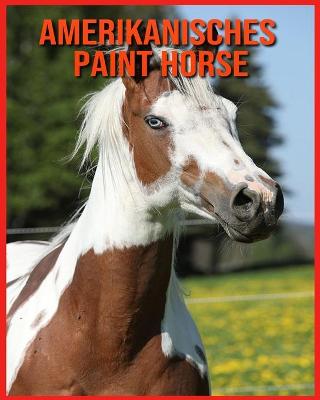 Book cover for Amerikanisches Paint Horse