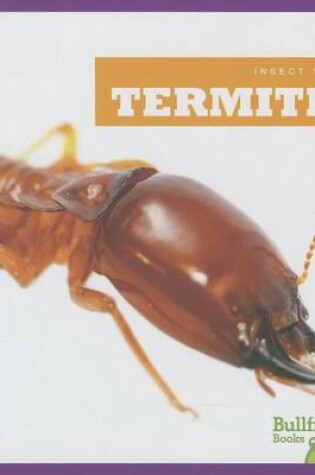 Cover of Termites