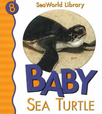 Book cover for Baby Sea Turtle