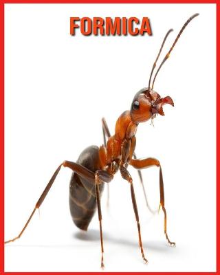 Cover of Formica