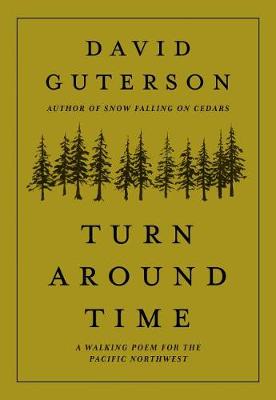 Book cover for Turn Around Time