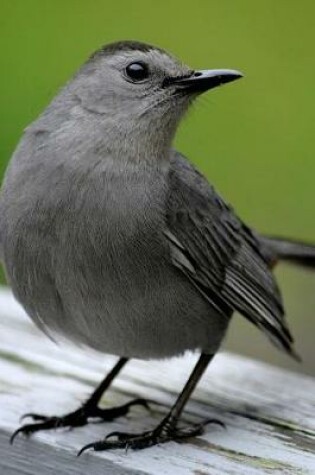Cover of Gray Catbird (Dumetella Carolinensis) Bird Journal