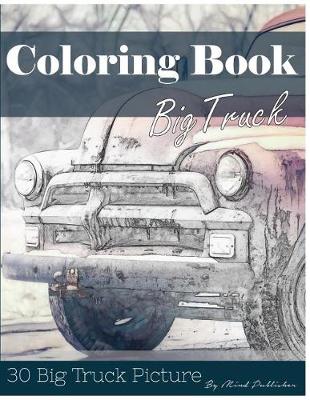 Book cover for Big Truck 30 Pictures, Sketch Grey Scale Coloring Book for Kids Adults and Grown Ups