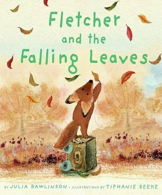 Book cover for Fletcher and the Falling Leaves