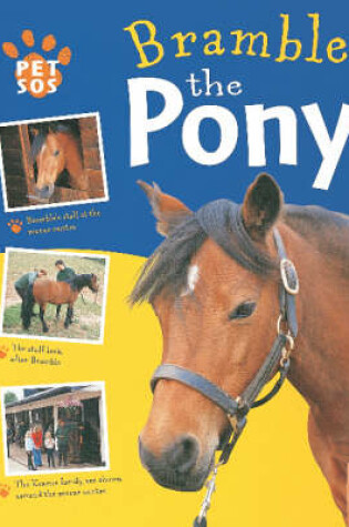 Cover of Pony