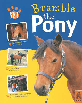 Book cover for Pony