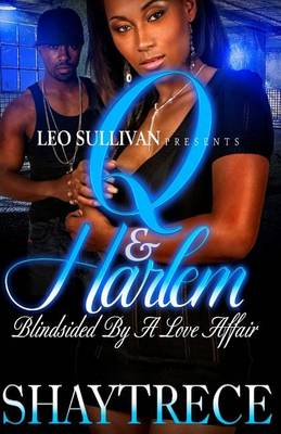 Book cover for Q And Harlem