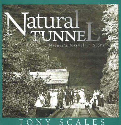 Book cover for Natural Tunnel