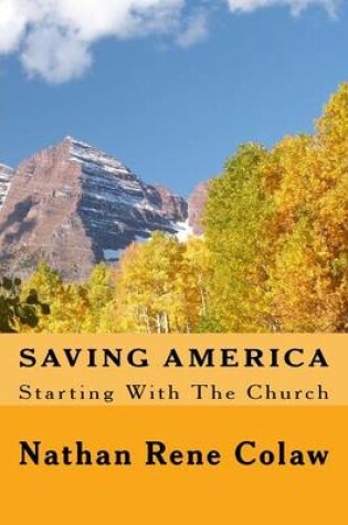 Cover of Saving America