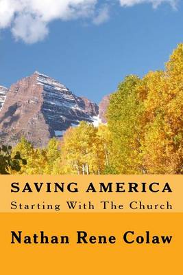 Book cover for Saving America