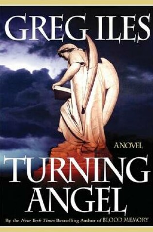 Cover of Turning Angel PB