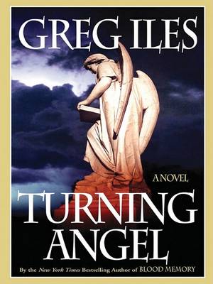 Book cover for Turning Angel PB