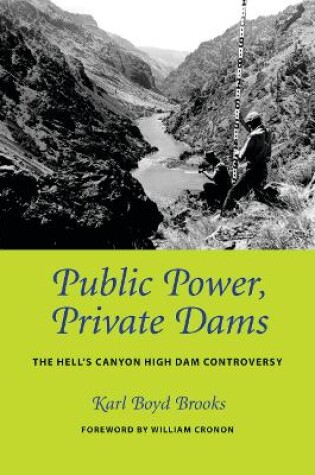Cover of Public Power, Private Dams