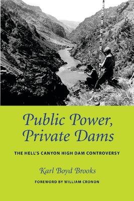 Book cover for Public Power, Private Dams