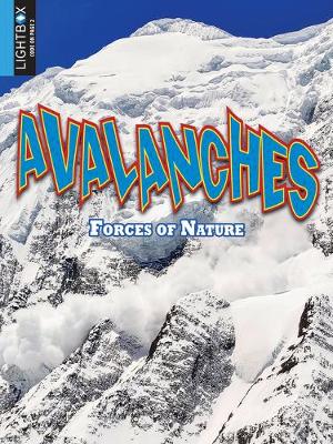 Book cover for Avalanches