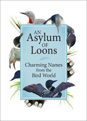 Cover of An Asylum of Loons