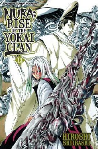 Cover of Nura: Rise of the Yokai Clan, Vol. 13