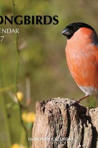 Cover of Songbirds Calendar 2017