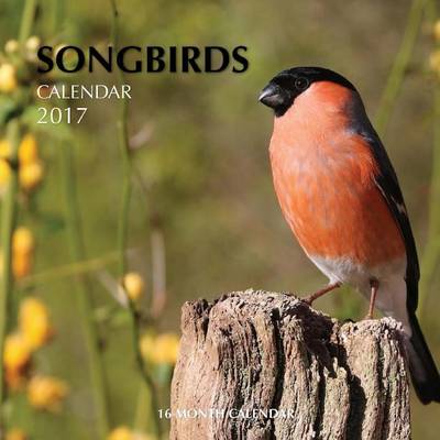 Book cover for Songbirds Calendar 2017