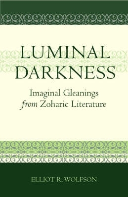 Book cover for Luminal Darkness