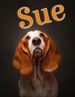 Book cover for Sue