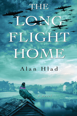 Cover of The Long Flight Home