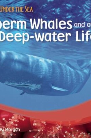 Cover of Sperm Whales and Other Deep-Water Life