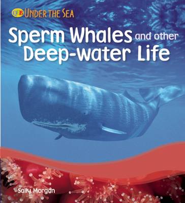 Book cover for Sperm Whales and Other Deep-Water Life