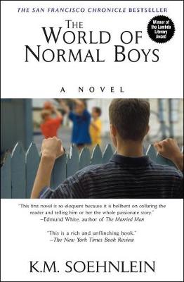 Book cover for The World of Normal Boys