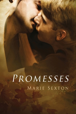 Book cover for Promesses