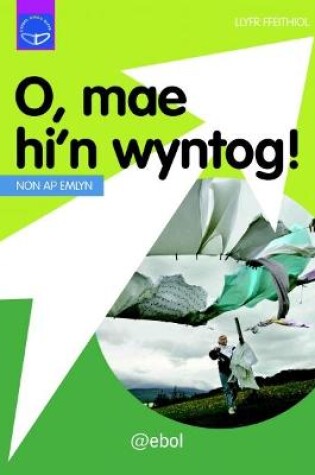 Cover of Cyfres Dysgu Difyr: O, Mae Hi'n Wyntog!