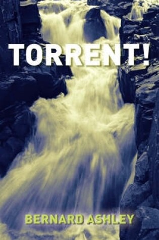 Cover of Torrent