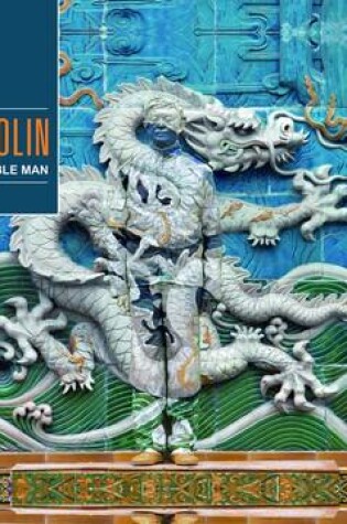 Cover of Liu Bolin: Hiding in the City