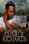 Book cover for Comforting His Restless Stallion