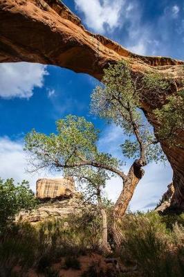 Book cover for Sipapu Bridge in Utah Journal