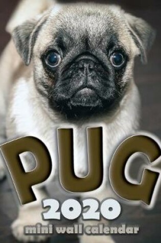 Cover of The Pug 2020 Mini Wall Calendar