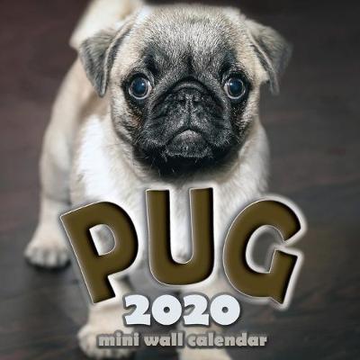 Cover of The Pug 2020 Mini Wall Calendar